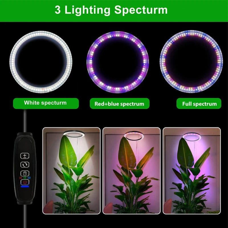 Full Spectrum 165cm  Height Adjustable USB LED Ring Grow Lights For Indoor Plants